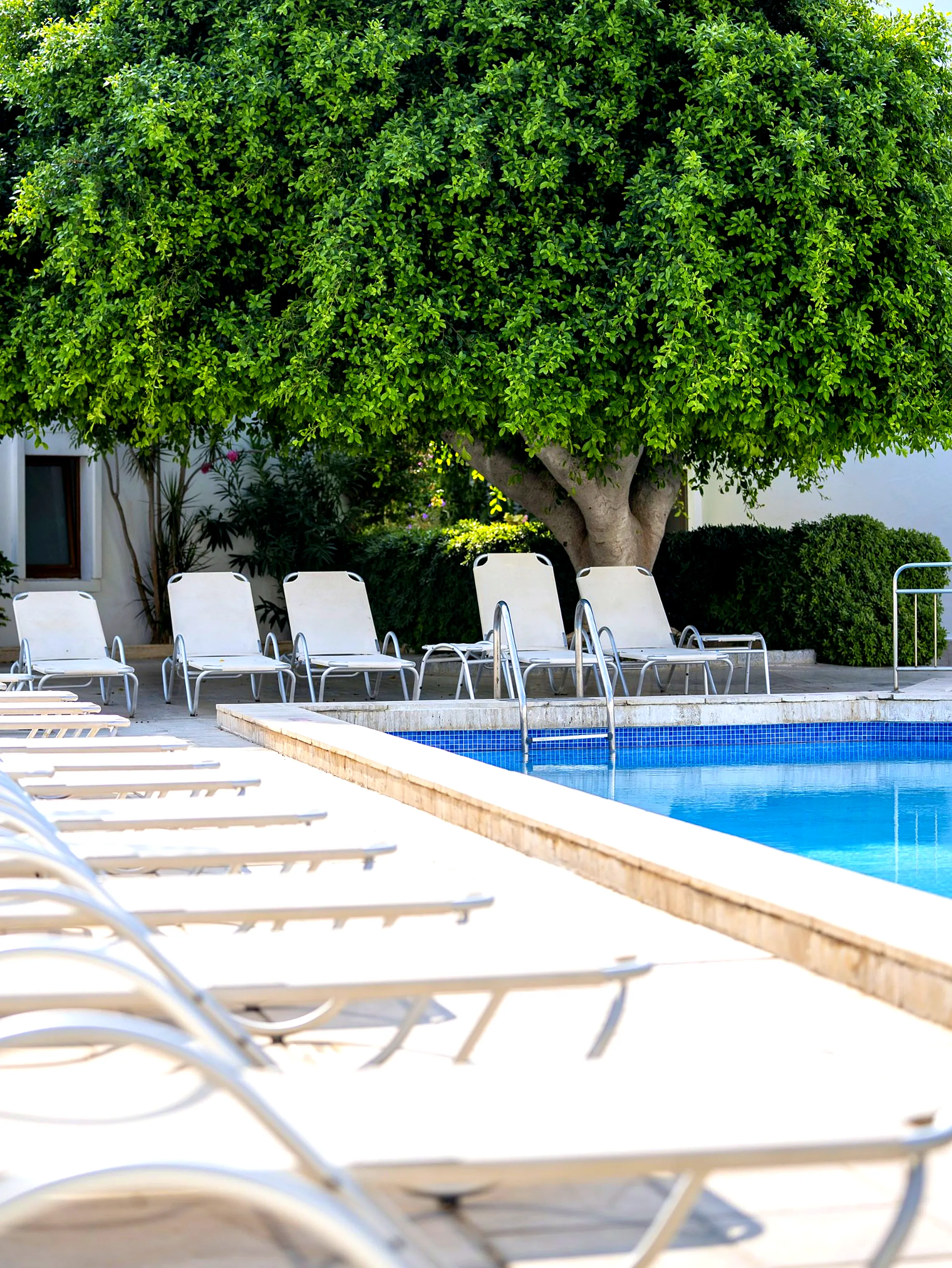 White sun loungers lined up in tree shade beside the pool